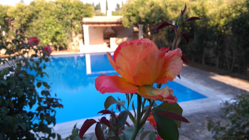 Cha Nanakas Village Inn Potamos  Bagian luar foto